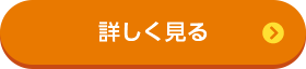 詳しく見る