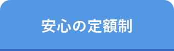 安心の定額制